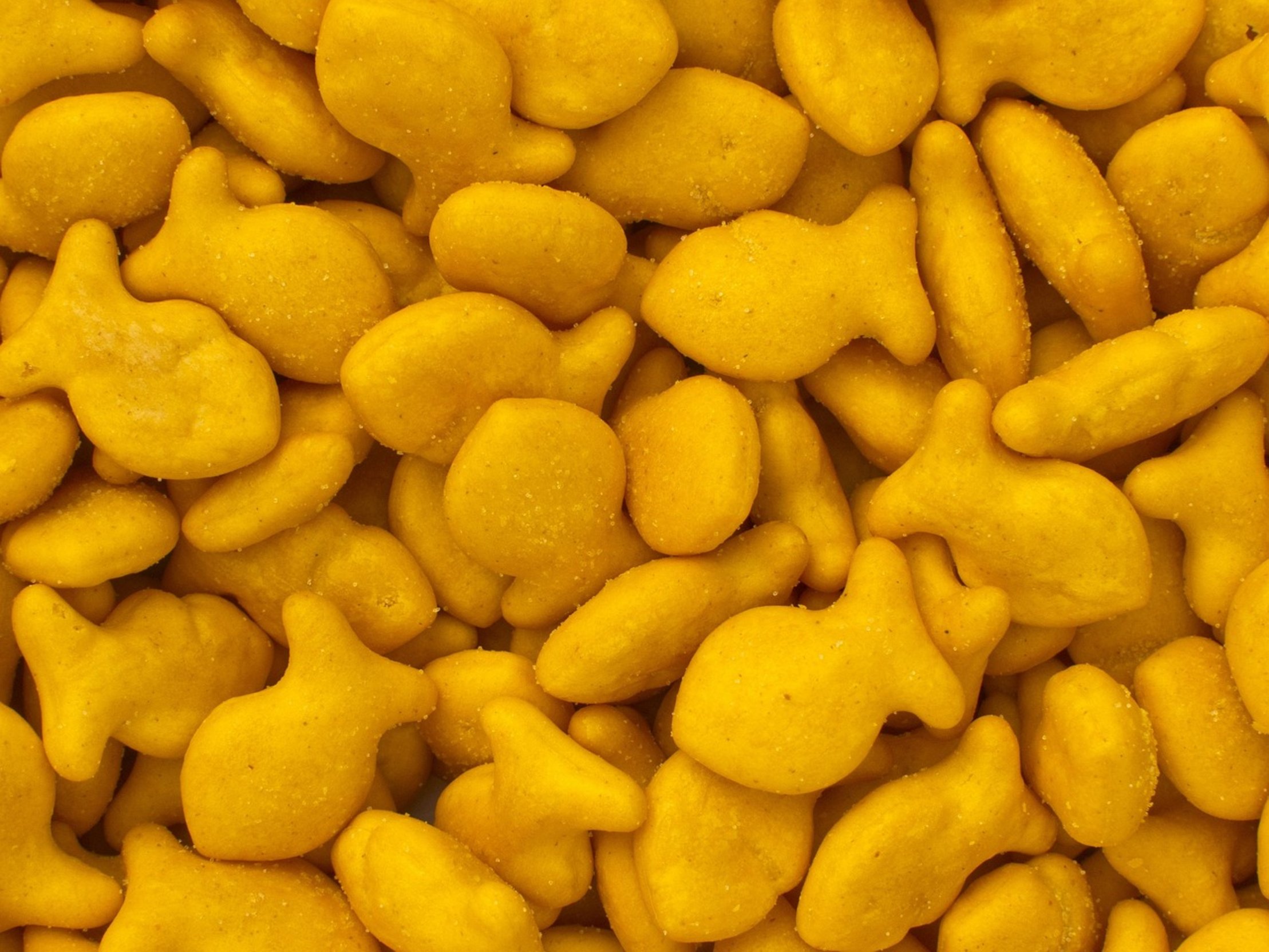goldfish food pellets goldfish food pellets