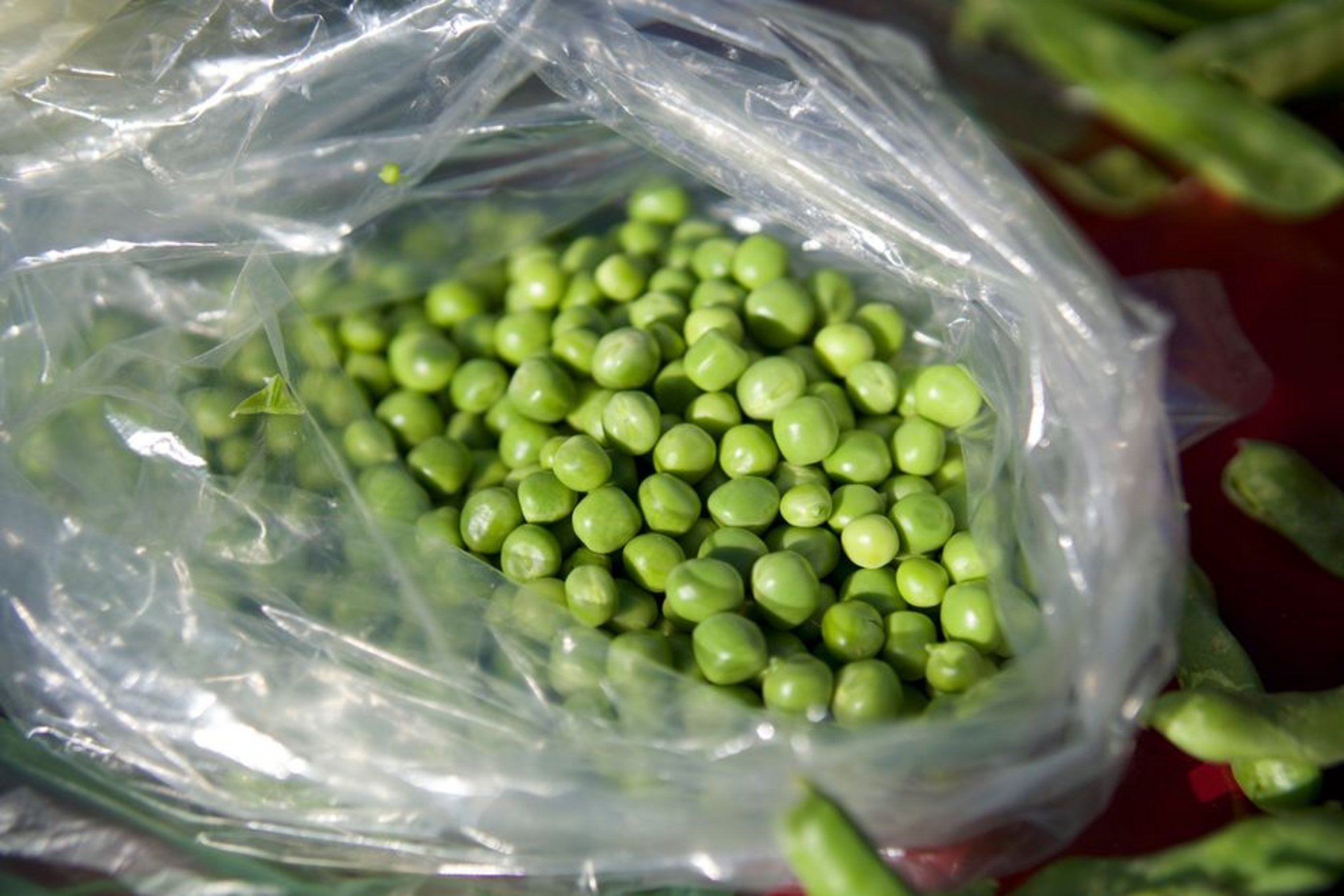 mashed green peas close up mashed green peas close up