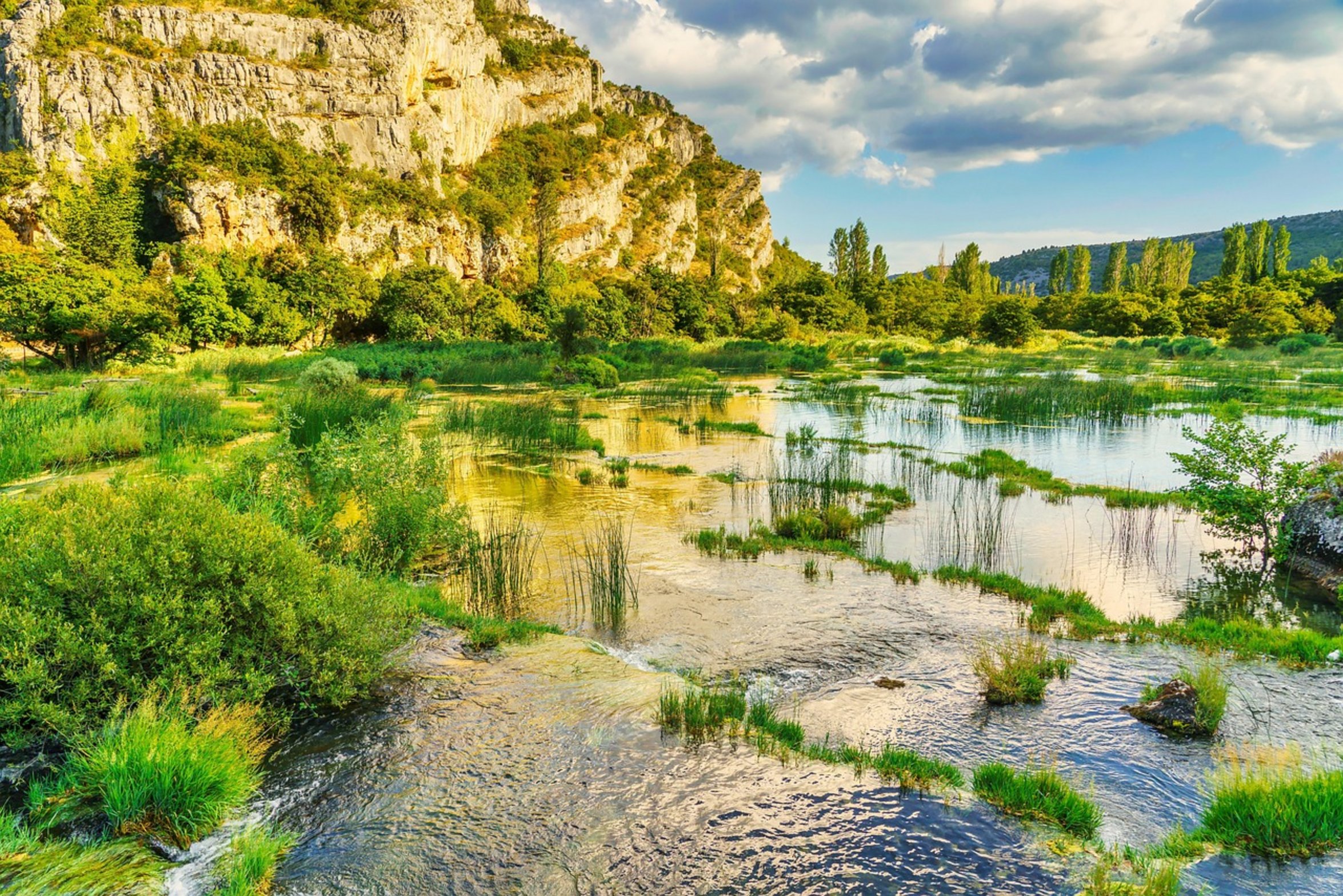 river water nature river water nature