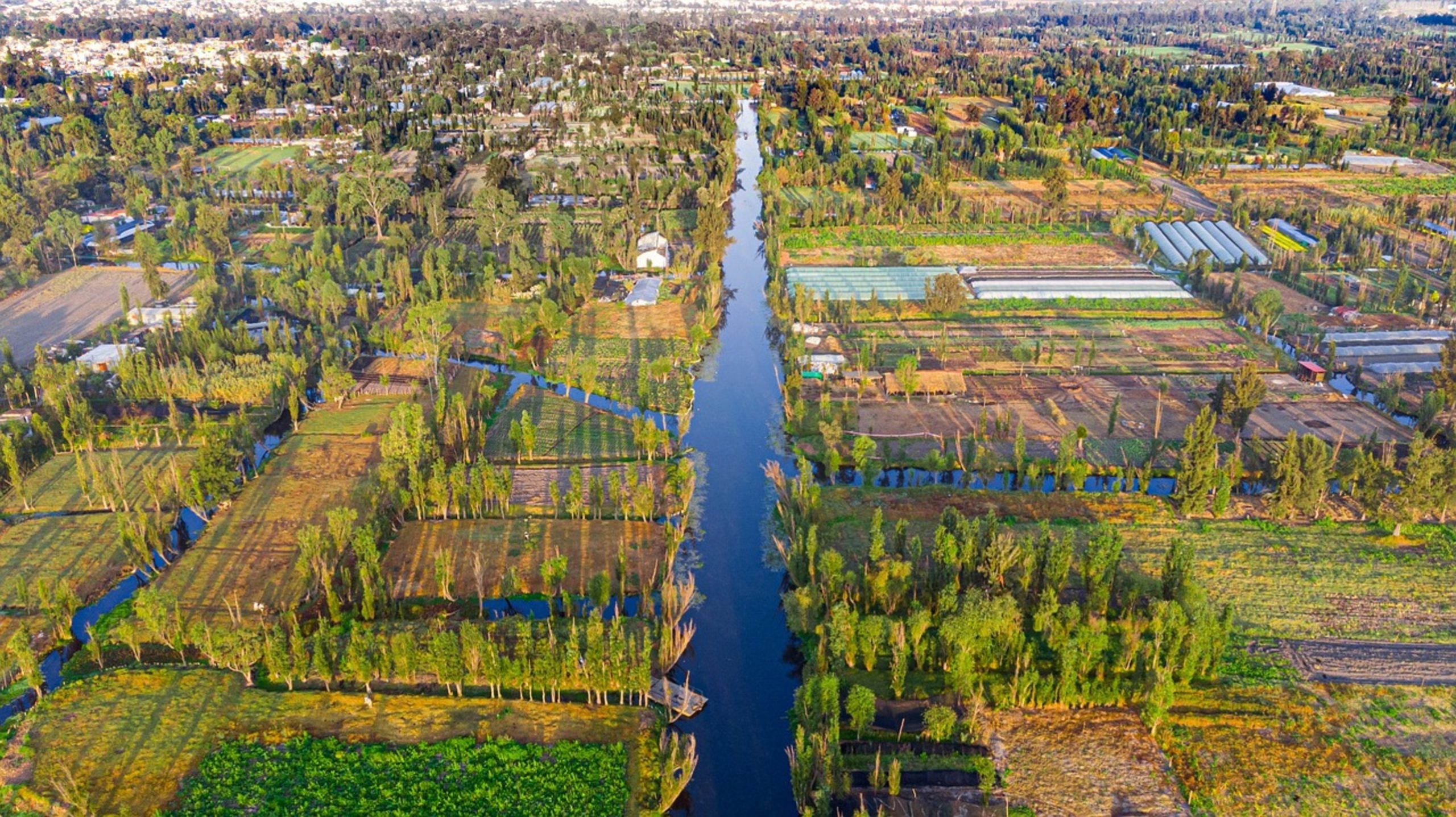 xochimilco canals mexico xochimilco canals mexico